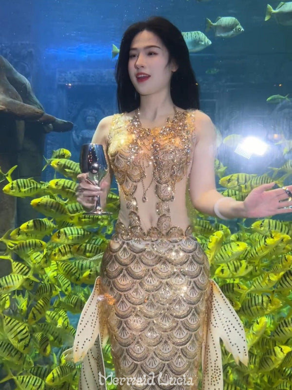 Mermaid Lucia Mystic Siren Series Thousand Gold Fish Tail