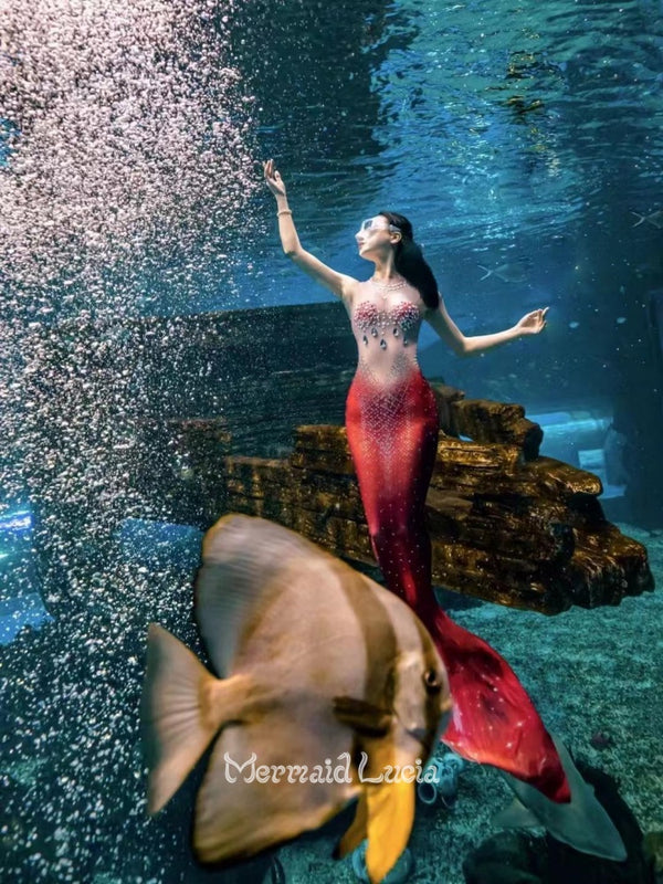 Mermaid Lucia Mystic Siren Series Classic Pearl Rhinestone One-Piece Fishtail