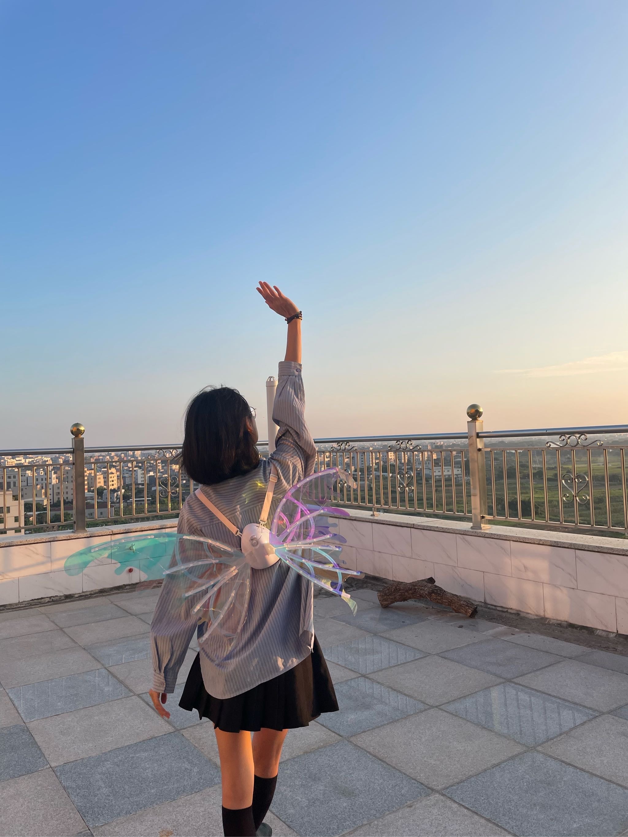 🎄Christmas Hot Sale🎁Rechargeable Electric Fairy Wings with LED Lights and Music🧚‍♀️