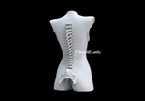 Super Cool Waterproof Luminous High-Tech 3D Printed Soft Silicone Biomimetic Realistic Mermaid Spine Bone Skeletal Structure Skeleton Costume Decoration Cosplay Patent-Protected