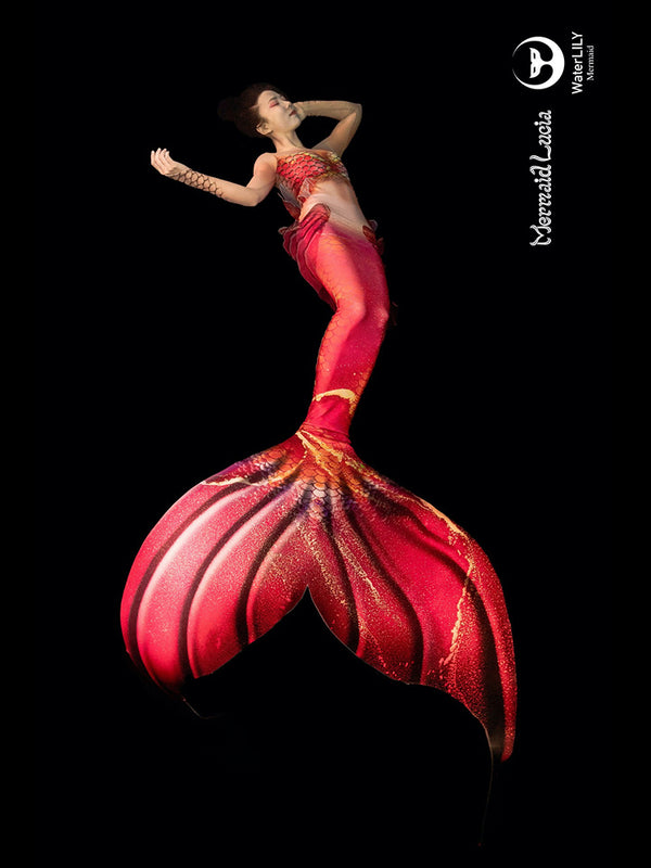 Fairy Wrasse Mermaid Tail 1 Red