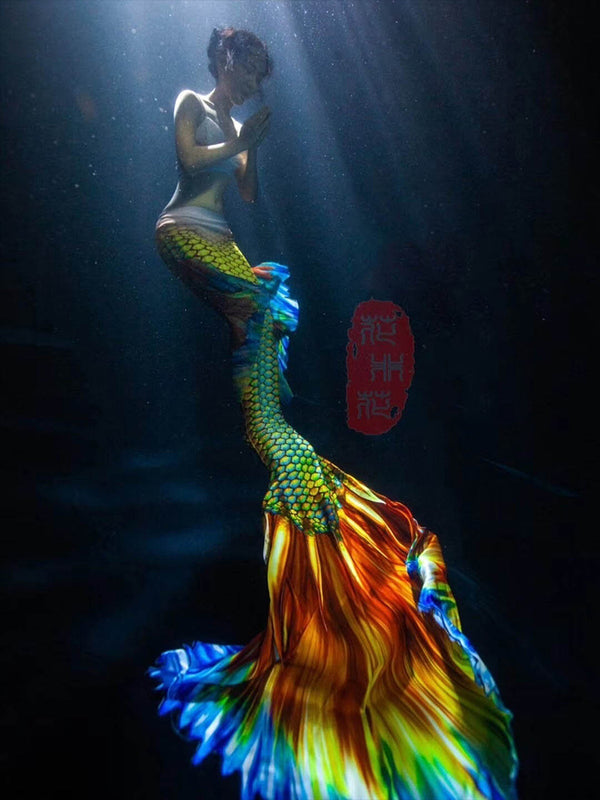 Betta Fish Mermaid Tail 2 Golden