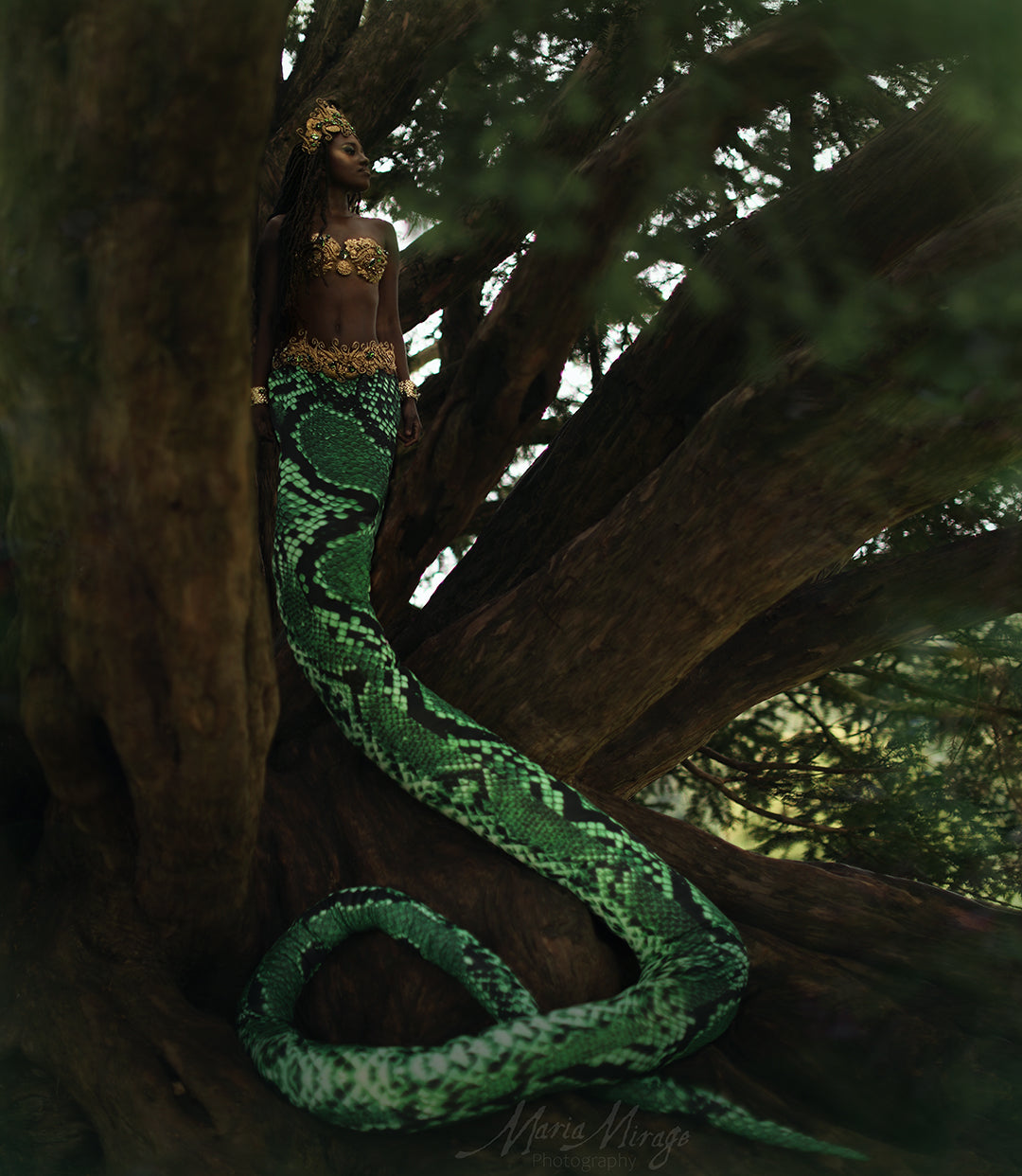 射撃小道具写真ドラゴンスネークテールマーメイドマーマンテール